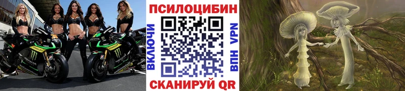 Галлюциногенные грибы GOLDEN TEACHER  купить наркоту  Крымск 