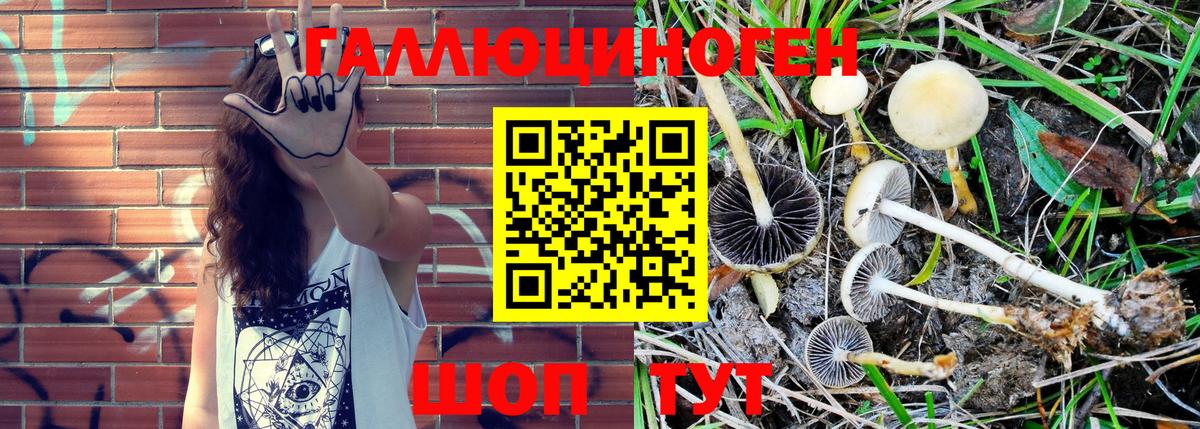 Галлюциногенные грибы MAGIC MUSHROOMS Крымск