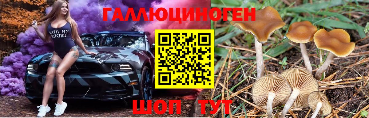 Псилоцибиновые грибы мицелий  Галлюциногенные грибы MAGIC MUSHROOMS  Крымск  Вход с VPN 